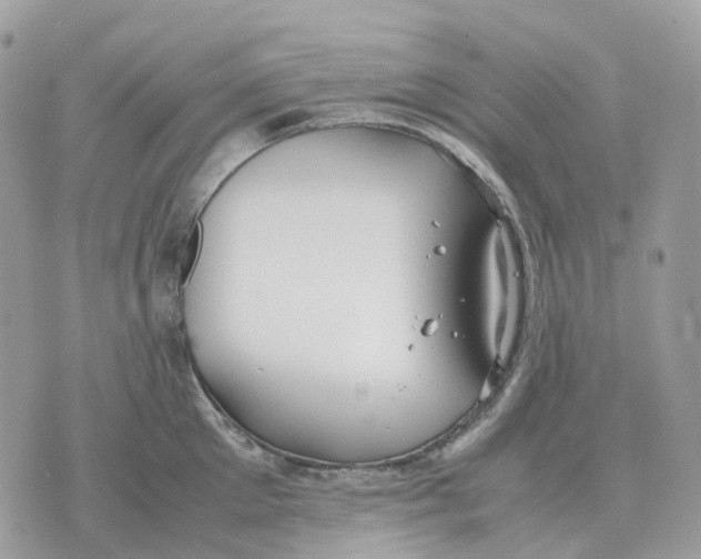 X0000070370905200607072125