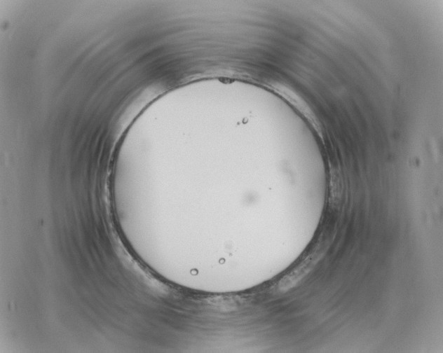 X0000070370906200607072125