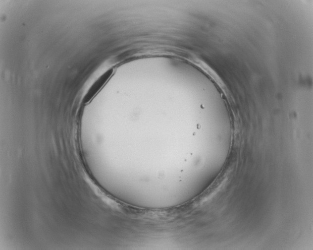 X0000070370909200607072125