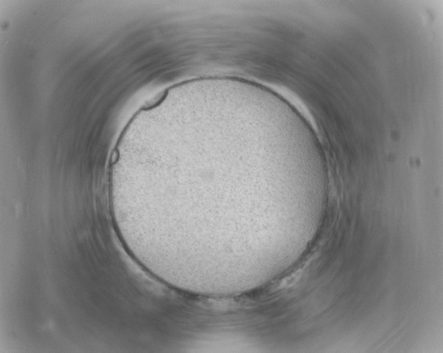 X0000070370911200607072125