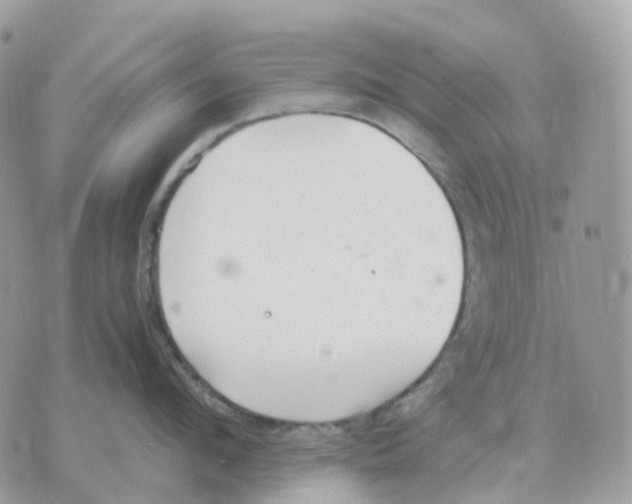 X0000070370912200607072125