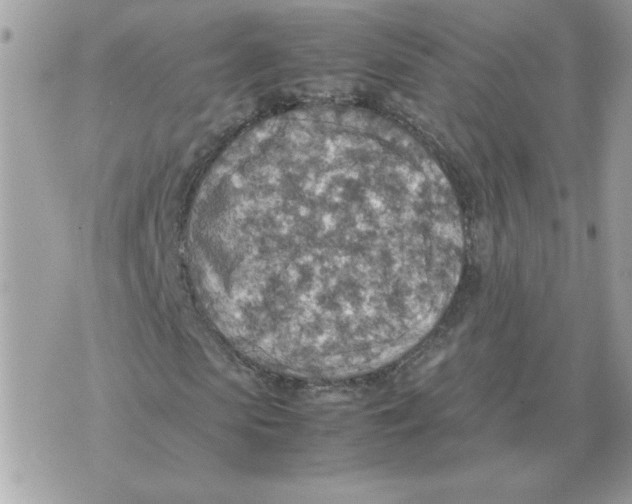 X0000070370913200607072124