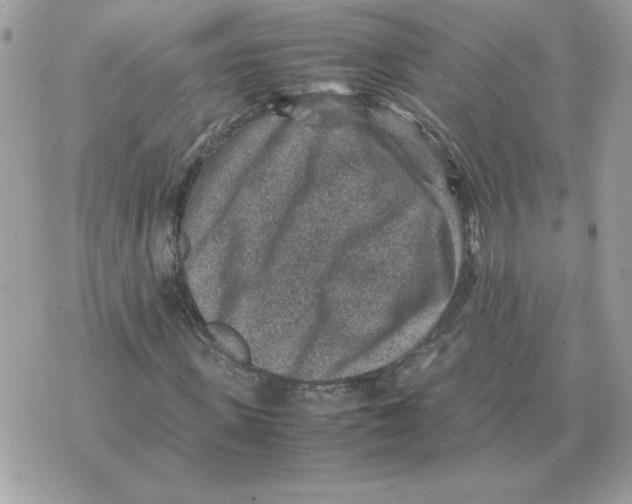 X0000070370915200607072124