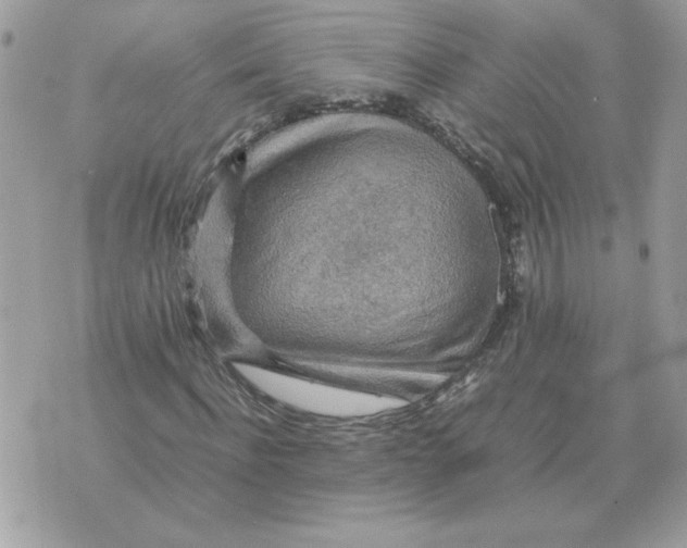 X0000070370916200607072124