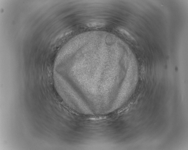 X0000070370917200607072124