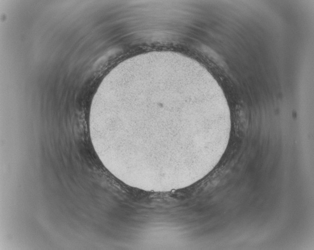 X0000070370918200607072124