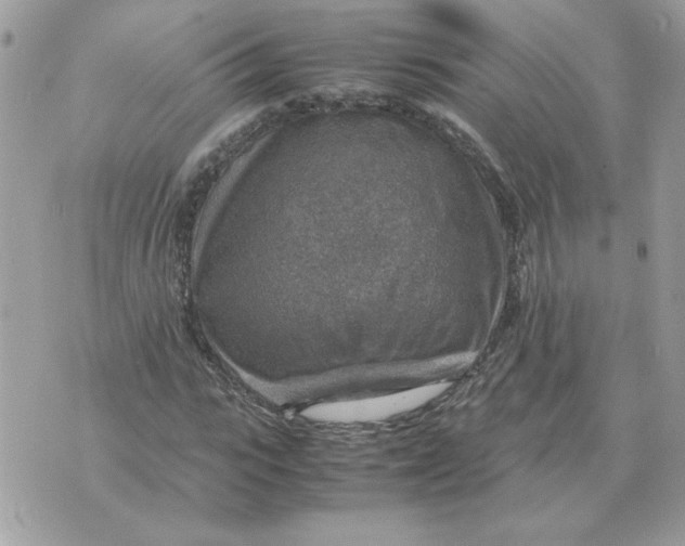 X0000070370919200607072124