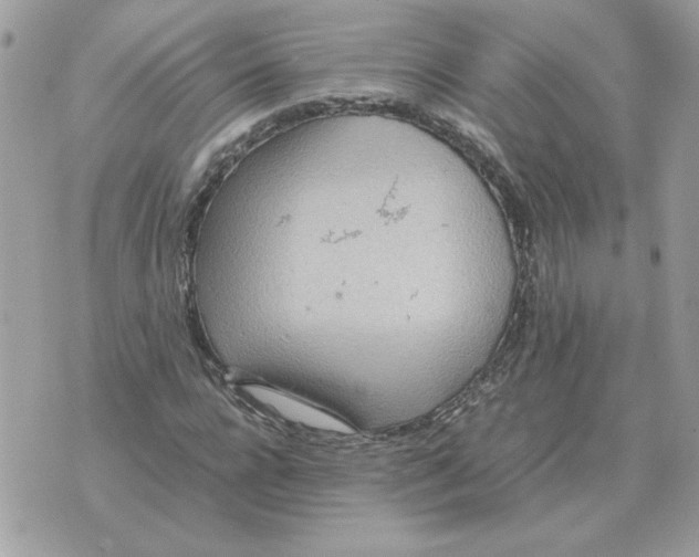 X0000070370920200607072124