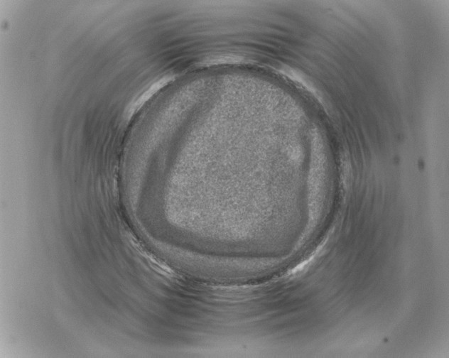 X0000070370921200607072124