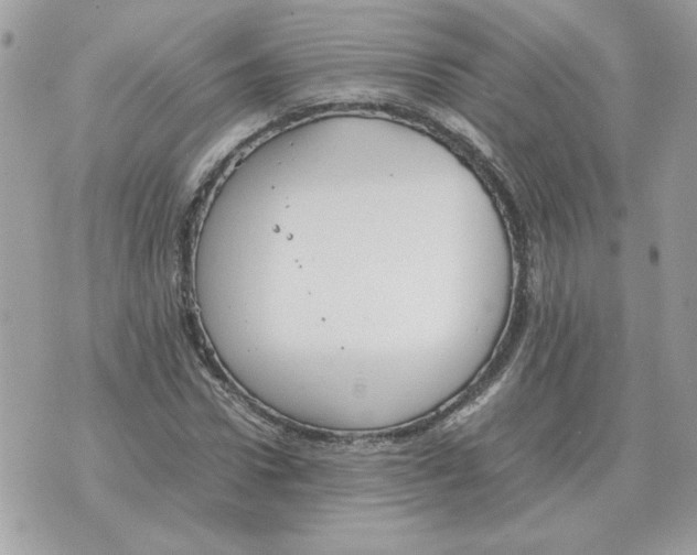 X0000070370922200607072124