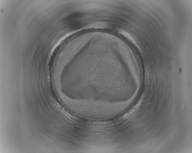 X0000070370923200607072124