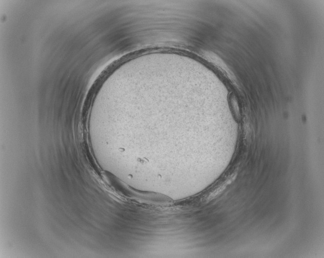 X0000070370924200607072124