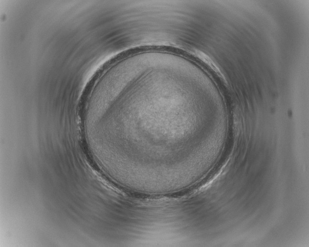 X0000070370926200607072125