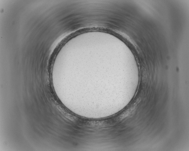 X0000070370927200607072125