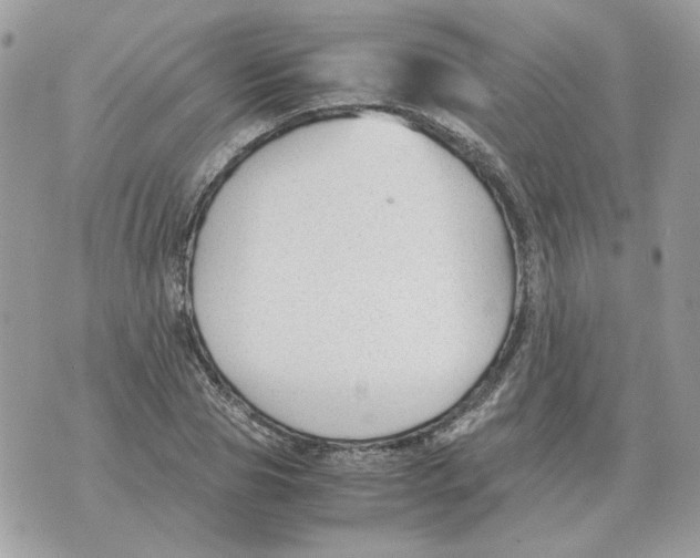 X0000070370929200607072125