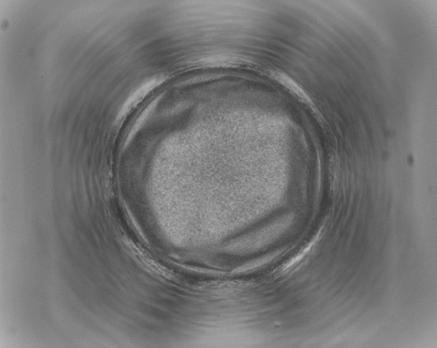 X0000070370930200607072125