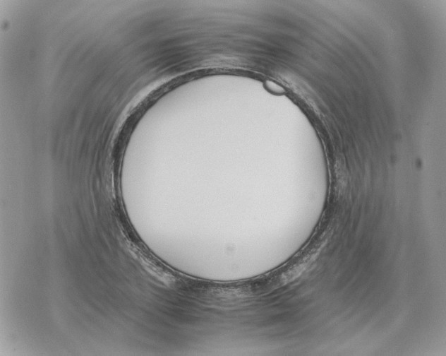 X0000070370931200607072125