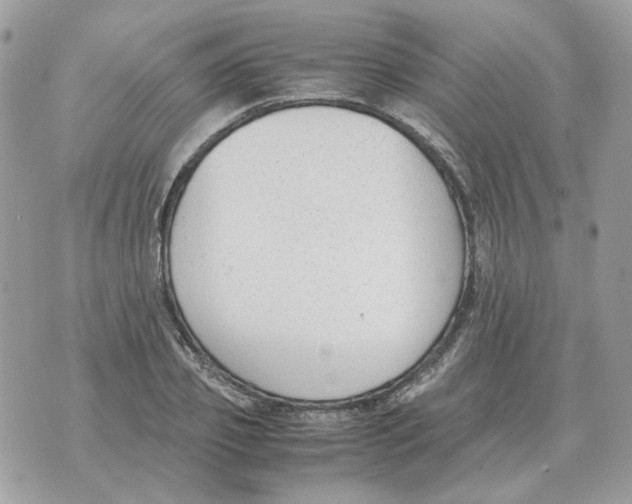 X0000070370933200607072125