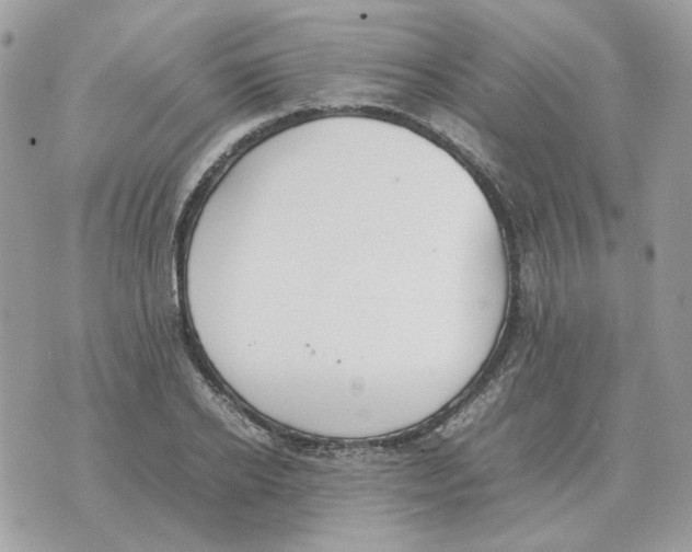 X0000070370934200607072125