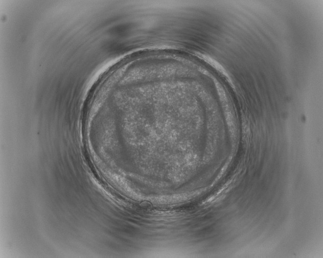 X0000070370935200607072125