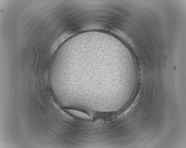 X0000070370937200607072125