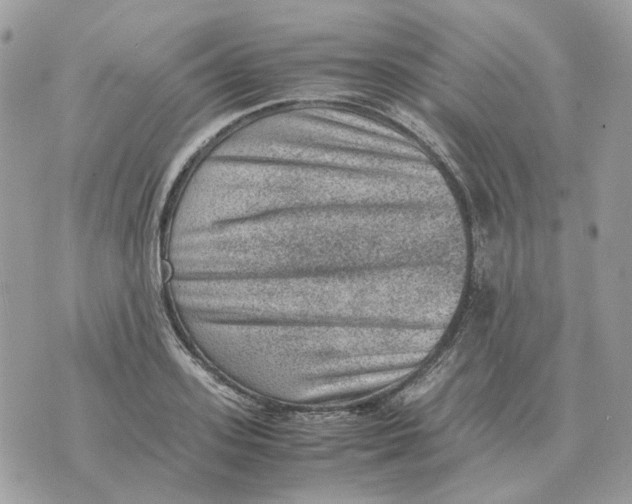 X0000070370939200607072125