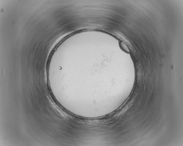 X0000070370940200607072125