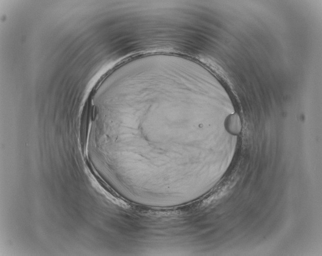 X0000070370941200607072125