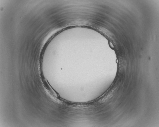 X0000070370942200607072125