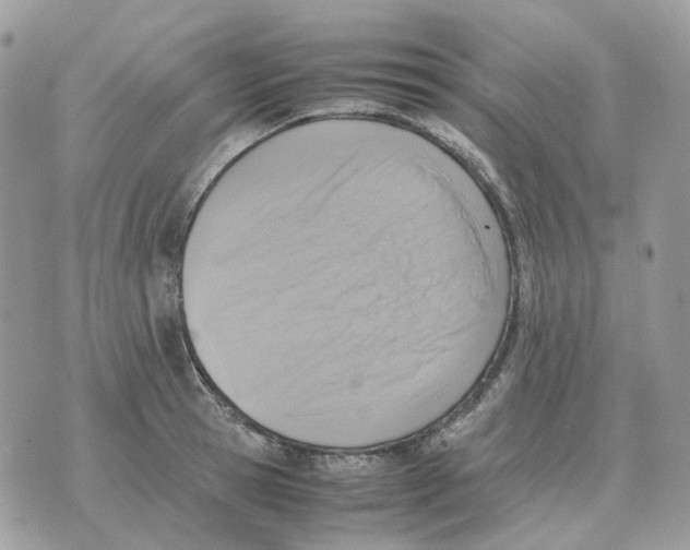 X0000070370945200607072125