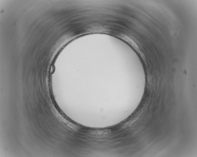 X0000070370947200607072125