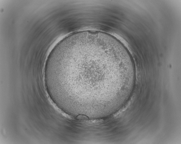 X0000070370949200607072125