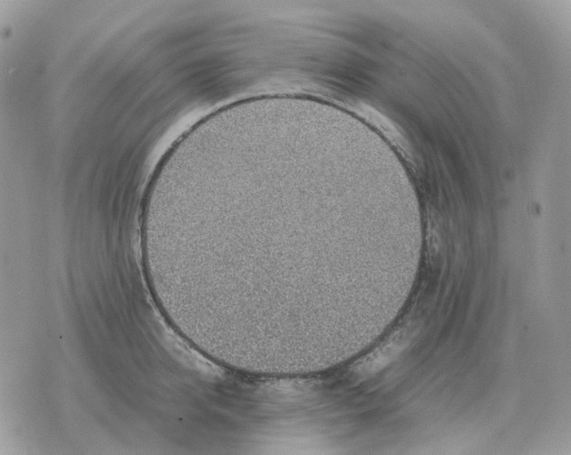 X0000070370950200607072125