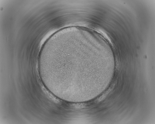 X0000070370952200607072125