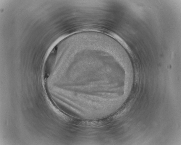 X0000070370955200607072125