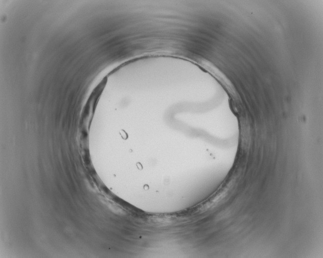 X0000070370956200607072125