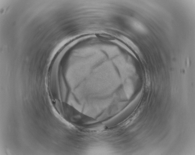 X0000070370958200607072125