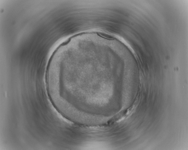 X0000070370959200607072125