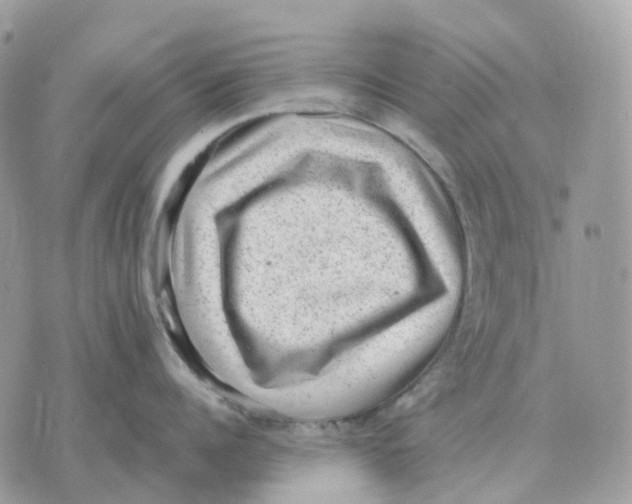 X0000070370960200607072125