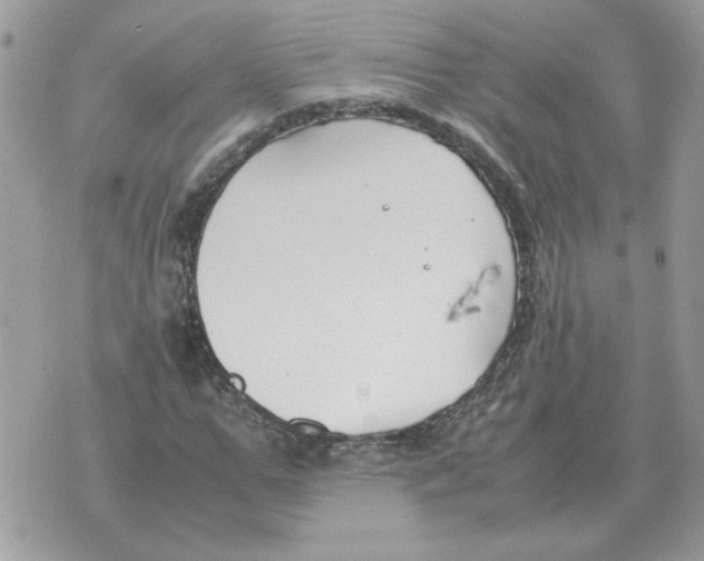 X0000070370967200607072124