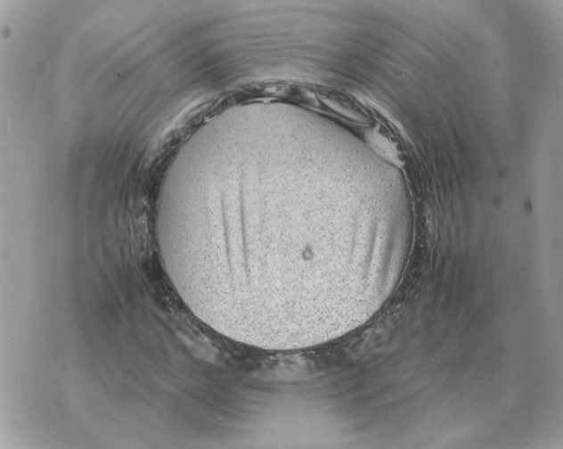 X0000070370968200607072124