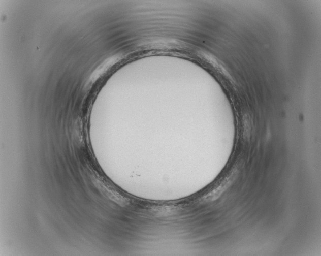 X0000070370970200607072124