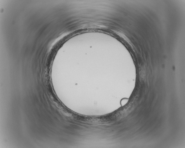 X0000070370971200607072124