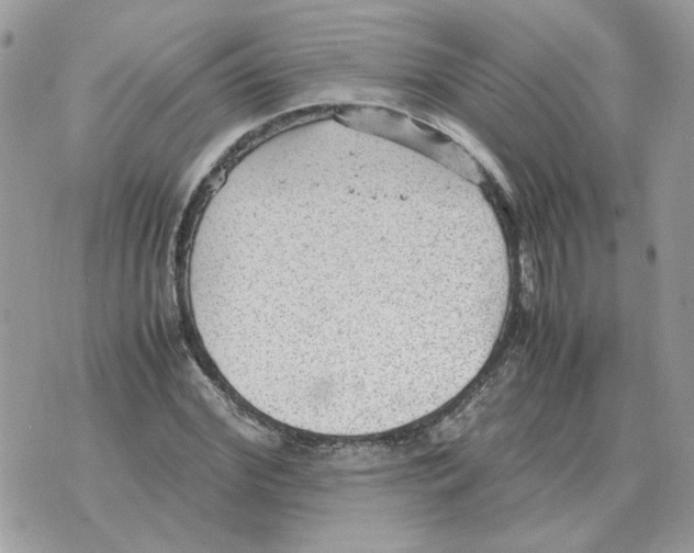 X0000070370972200607072124