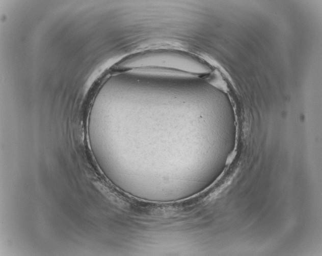 X0000070370973200607072124