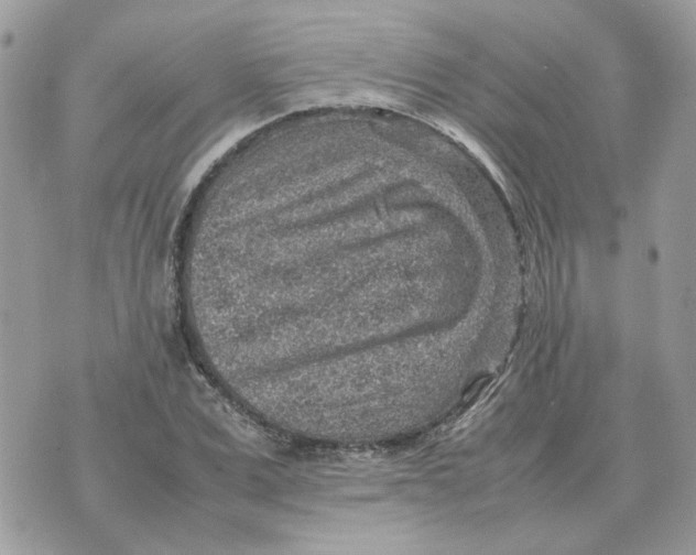 X0000070370975200607072124