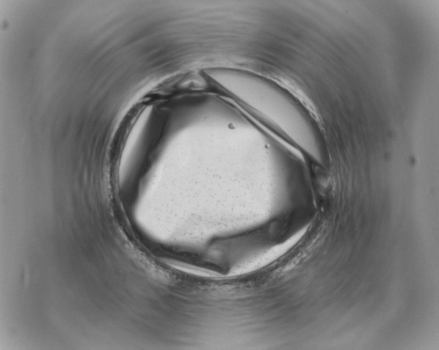 X0000070370976200607072124