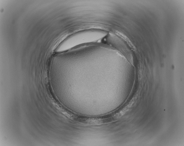 X0000070370977200607072124