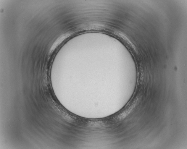 X0000070370978200607072124