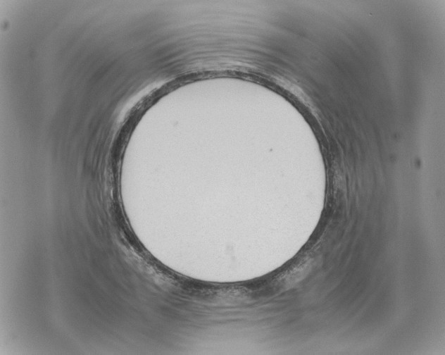 X0000070370979200607072124